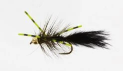X-Fly Goldhead Black Kamasan B170 #6